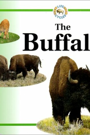 Cover of Buffalo