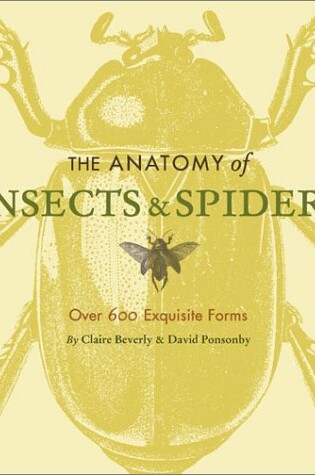 Cover of The Anatomy of Insects & Spiders