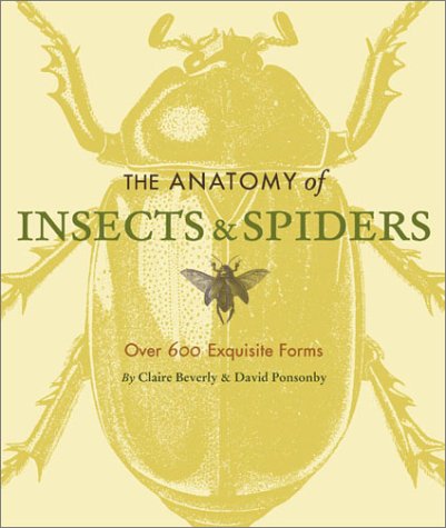 Book cover for The Anatomy of Insects & Spiders