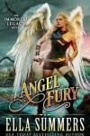 Book cover for Angel Fury