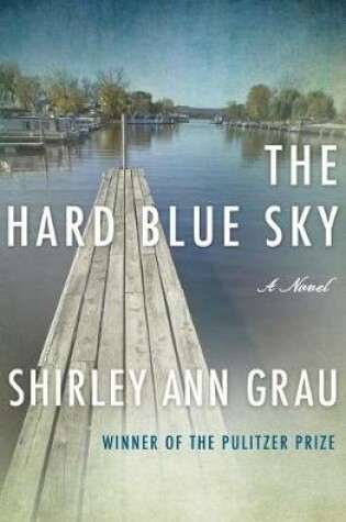 Cover of The Hard Blue Sky