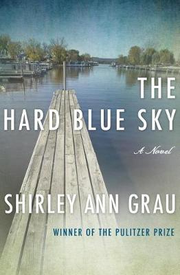 Book cover for The Hard Blue Sky