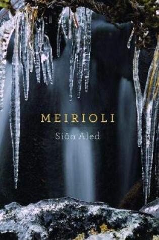 Cover of Meirioli