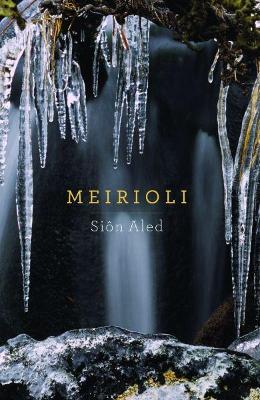 Book cover for Meirioli