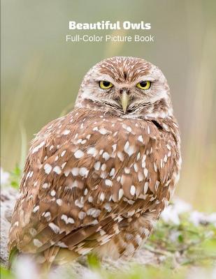 Book cover for Beautiful Owls Full-Color Picture Book