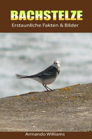 Cover of Bachstelze