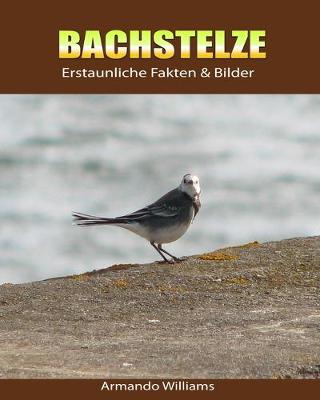 Book cover for Bachstelze