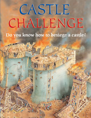 Book cover for Castle