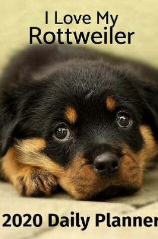 Cover of I Love My Rottweiler