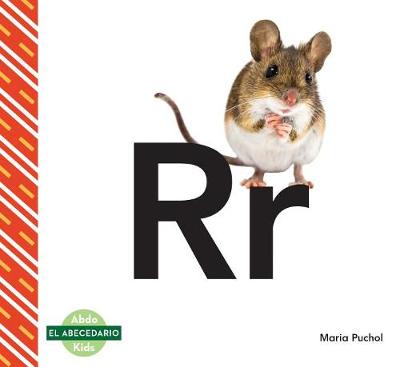 Cover of RR (Spanish Language)