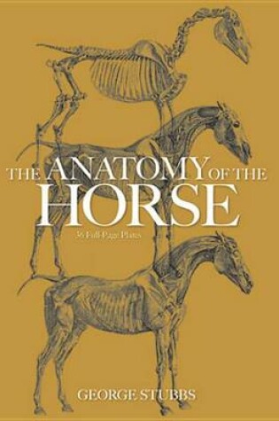 Cover of The Anatomy of the Horse