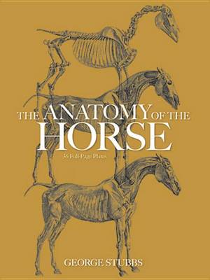 Cover of The Anatomy of the Horse