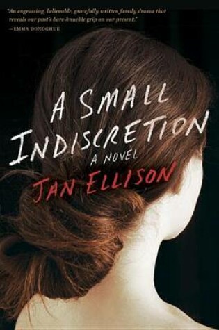 Cover of A Small Indiscretion