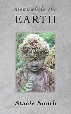 Book cover for Meanwhile the Earth