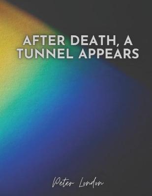 Book cover for After Death, a Tunnel Appears