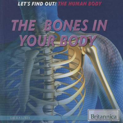 Book cover for The Bones in Your Body