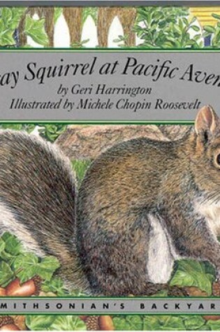 Cover of Gray Squirrel at Pacific Avenue