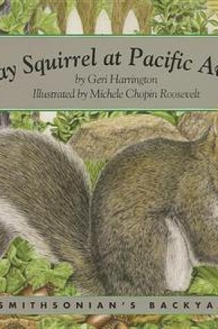 Cover of Gray Squirrel at Pacific Avenue