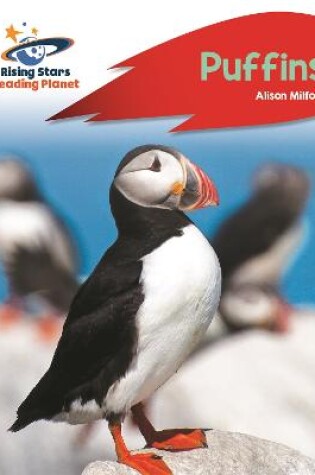 Cover of Reading Planet - Puffins - Red A: Rocket Phonics