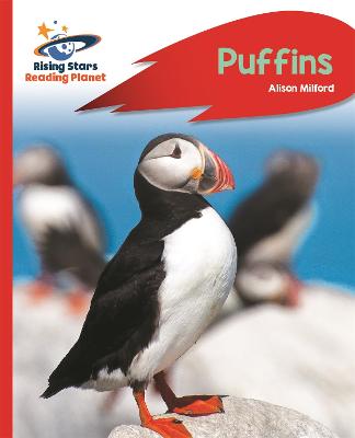 Cover of Reading Planet - Puffins - Red A: Rocket Phonics
