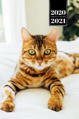 Book cover for Bengal Cat Kitten Kitty Tomcat Week Planner Organizer 2020 / 2021 - In Bed