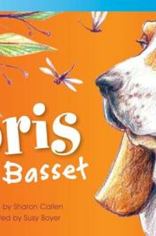 Cover of Boris the Bassett