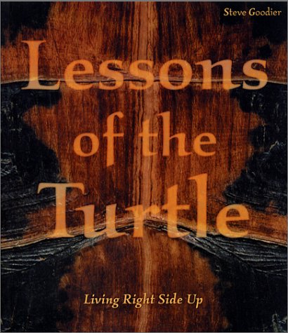 Book cover for Lessons of the Turtle