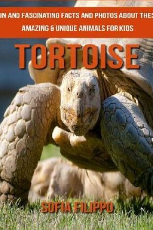 Cover of Tortoise