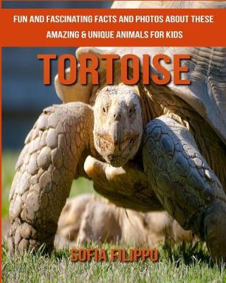 Book cover for Tortoise