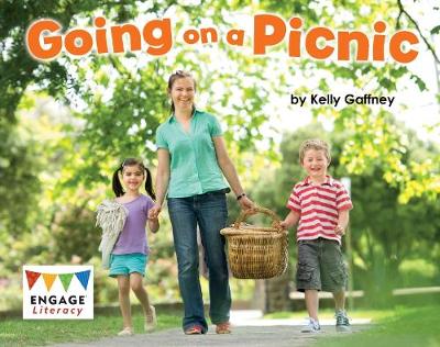 Book cover for Going on a Picnic