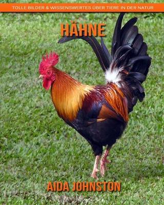 Book cover for Hahne