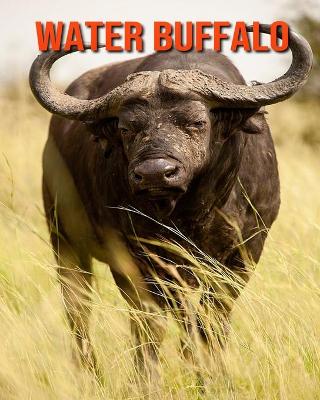 Book cover for Water Buffalo