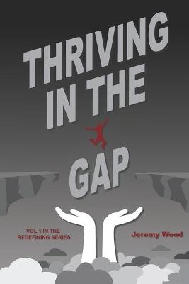 Cover of Thriving In The Gap