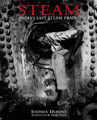 Book cover for Steam