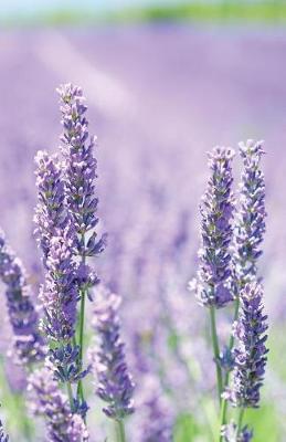 Book cover for The Hacker-Proof Internet Address Password Book - Lavender Fields