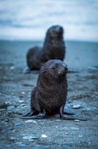 Cover of Two Wet Antarctic Seals Journal