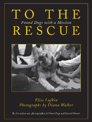 Book cover for To the Rescue