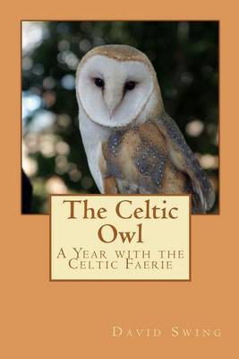 Book cover for The Celtic Owl