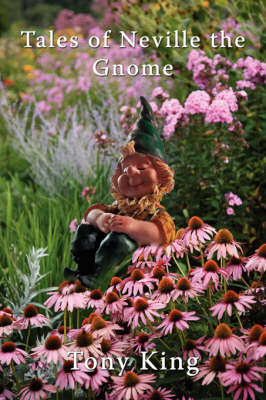 Book cover for Tales of Neville the Gnome