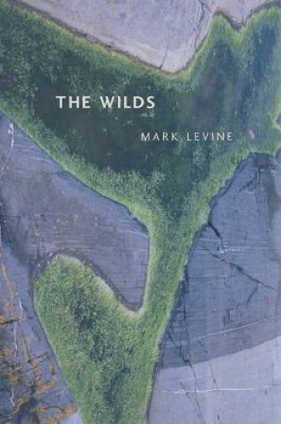 Cover of The Wilds