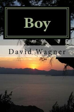 Cover of Boy