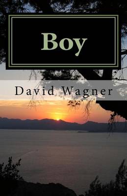 Book cover for Boy