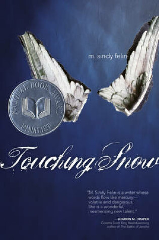 Cover of Touching Snow