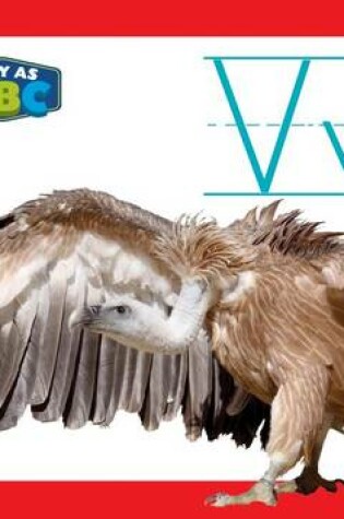 Cover of VV