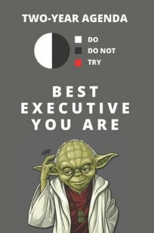 Cover of 2020 & 2021 Two-Year Daily Planner For Best Executive Gift - Funny Yoda Quote Appointment Book - Two Year Weekly Agenda Notebook For CEO or Director