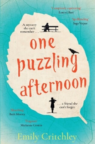 Cover of One Puzzling Afternoon