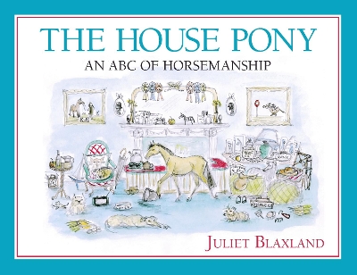 Book cover for The House Pony