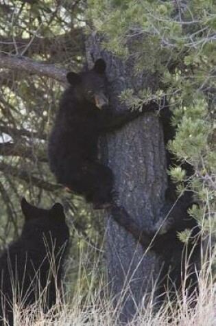 Cover of Black Bear Cubs Playing in a Tree Journal