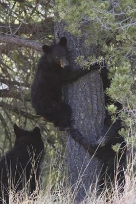 Book cover for Black Bear Cubs Playing in a Tree Journal