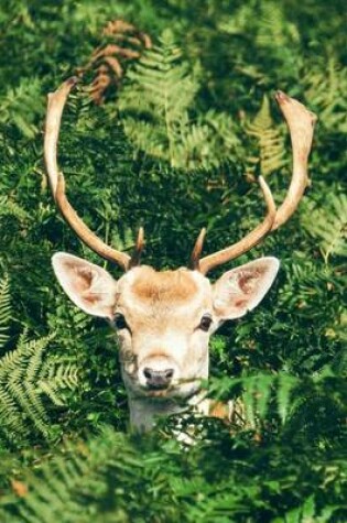 Cover of Peek a Boo Deer with Antlers